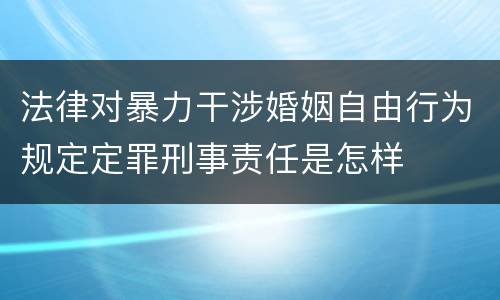 法律对暴力干涉婚姻自由行为规定定罪刑事责任是怎样