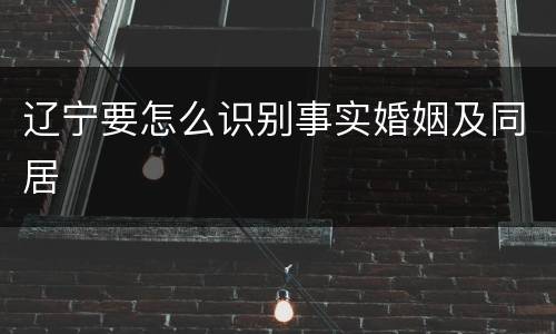 辽宁要怎么识别事实婚姻及同居