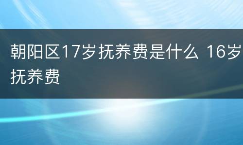 朝阳区17岁抚养费是什么 16岁抚养费