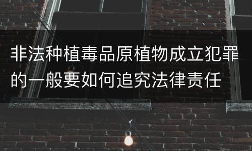 非法种植毒品原植物成立犯罪的一般要如何追究法律责任