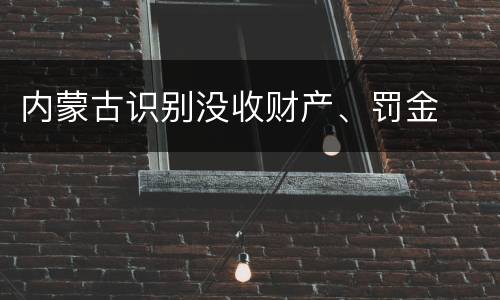 内蒙古识别没收财产、罚金