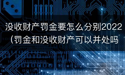 没收财产罚金要怎么分别2022（罚金和没收财产可以并处吗）