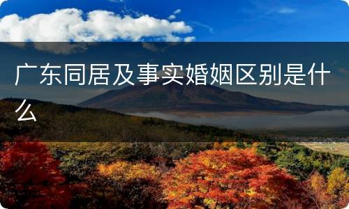 广东同居及事实婚姻区别是什么