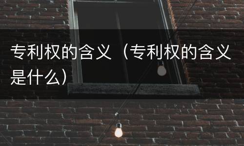 专利权的含义（专利权的含义是什么）
