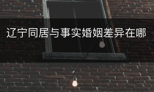 辽宁同居与事实婚姻差异在哪