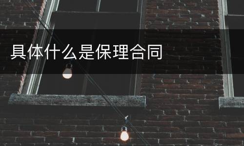 具体什么是保理合同