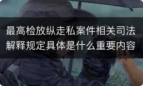 最高检放纵走私案件相关司法解释规定具体是什么重要内容