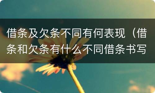 借条及欠条不同有何表现（借条和欠条有什么不同借条书写）