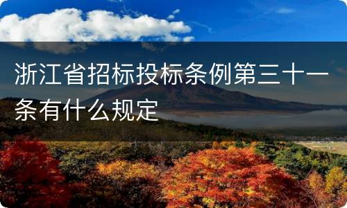 浙江省招标投标条例第三十一条有什么规定
