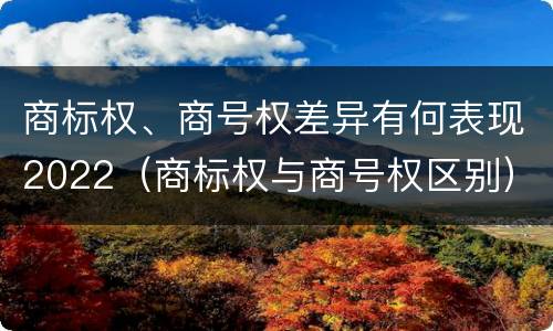 商标权、商号权差异有何表现2022（商标权与商号权区别）
