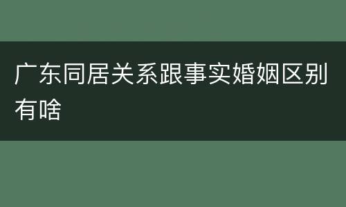 广东同居关系跟事实婚姻区别有啥