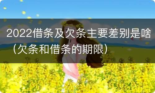 2022借条及欠条主要差别是啥（欠条和借条的期限）