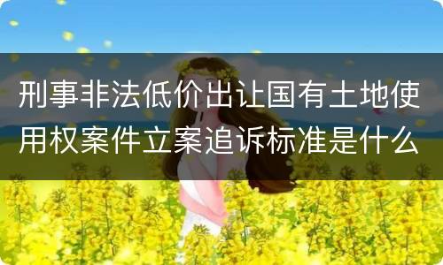 刑事非法低价出让国有土地使用权案件立案追诉标准是什么