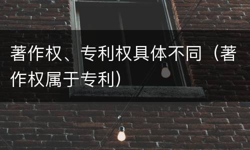 著作权、专利权具体不同（著作权属于专利）