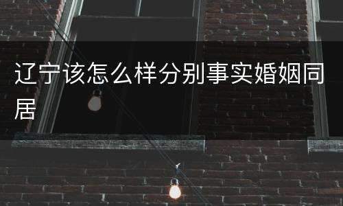 辽宁该怎么样分别事实婚姻同居