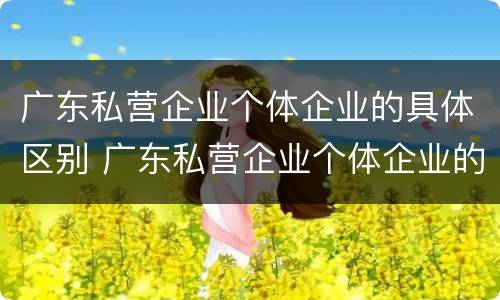 广东私营企业个体企业的具体区别 广东私营企业个体企业的具体区别和联系