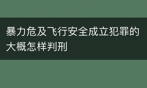 暴力危及飞行安全成立犯罪的大概怎样判刑