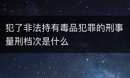 犯了非法持有毒品犯罪的刑事量刑档次是什么
