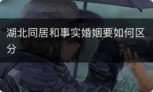 湖北同居和事实婚姻要如何区分