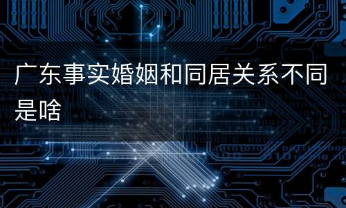 广东事实婚姻和同居关系不同是啥