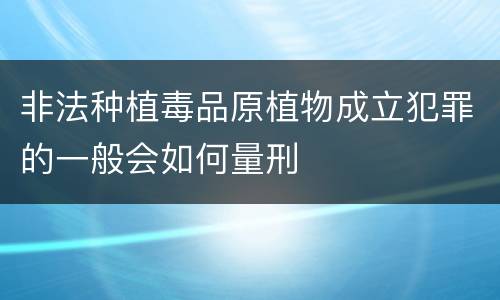 非法种植毒品原植物成立犯罪的一般会如何量刑