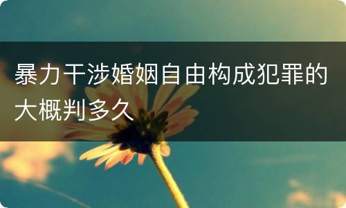 暴力干涉婚姻自由构成犯罪的大概判多久