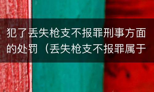 犯了丢失枪支不报罪刑事方面的处罚（丢失枪支不报罪属于过失犯罪吗）