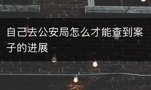 自己去公安局怎么才能查到案子的进展