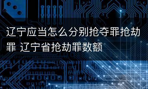 辽宁应当怎么分别抢夺罪抢劫罪 辽宁省抢劫罪数额