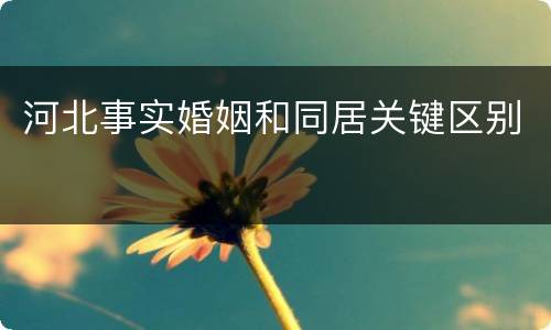 河北事实婚姻和同居关键区别