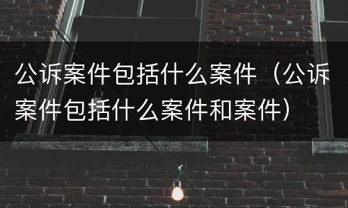 公诉案件包括什么案件（公诉案件包括什么案件和案件）