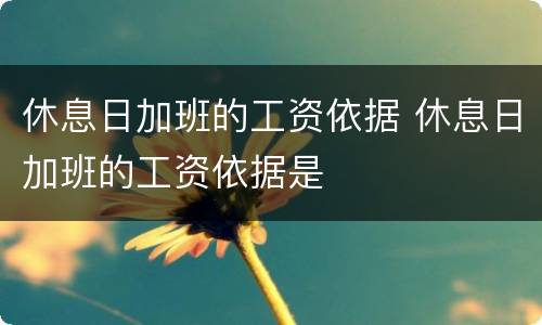 休息日加班的工资依据 休息日加班的工资依据是