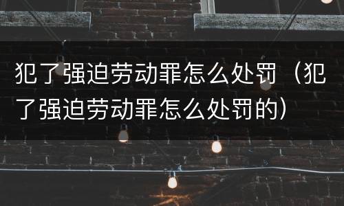 犯了强迫劳动罪怎么处罚（犯了强迫劳动罪怎么处罚的）
