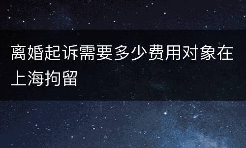 离婚起诉需要多少费用对象在上海拘留