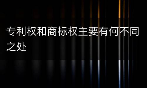 专利权和商标权主要有何不同之处