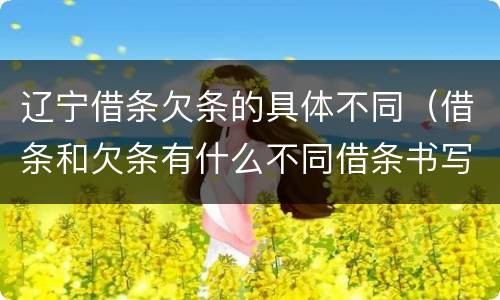 辽宁借条欠条的具体不同（借条和欠条有什么不同借条书写）