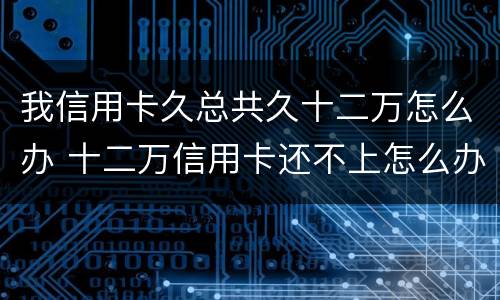 我信用卡久总共久十二万怎么办 十二万信用卡还不上怎么办