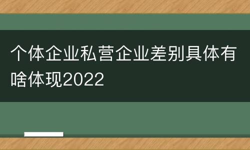 个体企业私营企业差别具体有啥体现2022