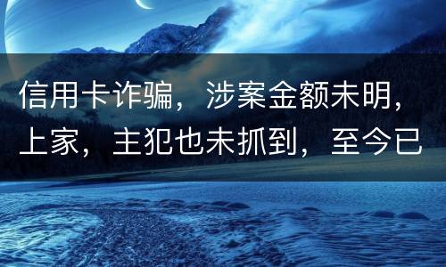信用卡诈骗，涉案金额未明，上家，主犯也未抓到，至今已有5天，请问可以申请取保吗