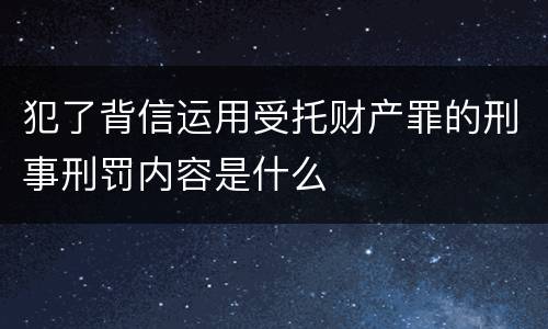 犯了背信运用受托财产罪的刑事刑罚内容是什么