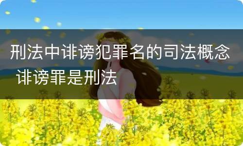 刑法中诽谤犯罪名的司法概念 诽谤罪是刑法