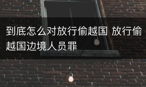 到底怎么对放行偷越国 放行偷越国边境人员罪