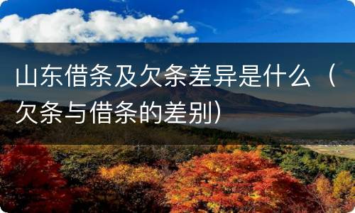 山东借条及欠条差异是什么（欠条与借条的差别）