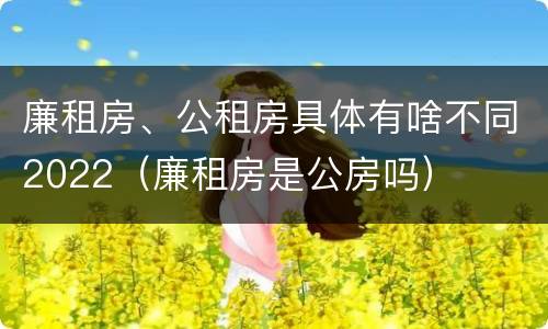 廉租房、公租房具体有啥不同2022（廉租房是公房吗）