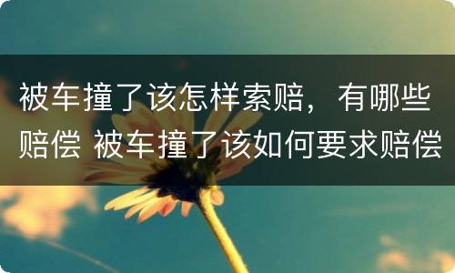 被车撞了该怎样索赔，有哪些赔偿 被车撞了该如何要求赔偿