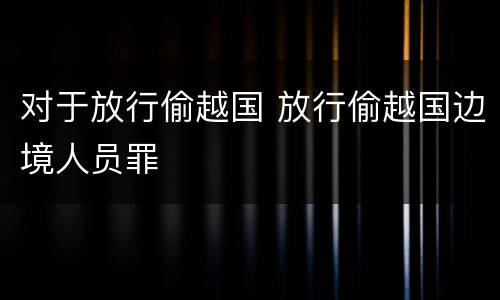 对于放行偷越国 放行偷越国边境人员罪