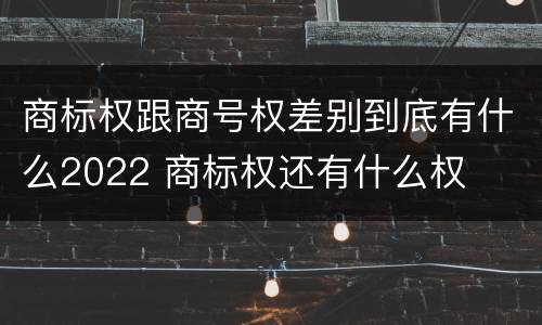 商标权跟商号权差别到底有什么2022 商标权还有什么权