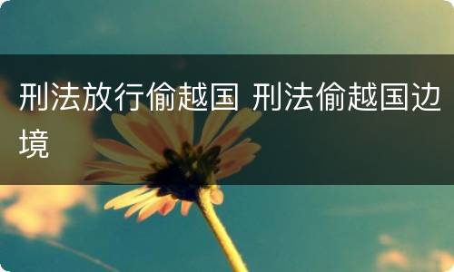 刑法放行偷越国 刑法偷越国边境