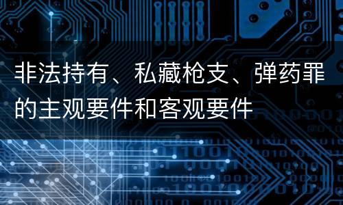 非法持有、私藏枪支、弹药罪的主观要件和客观要件