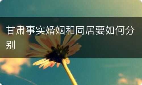 甘肃事实婚姻和同居要如何分别